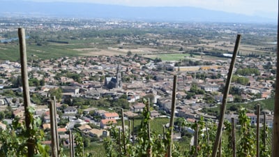 twerenbold_107275.jpg Blick auf eine Stadt neben Weinbergen mit Bergen im Hintergrund.
