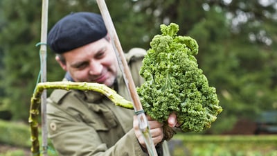 twerenbold_79454.jpg Mann hält einen grossen Grünkohl im Garten.