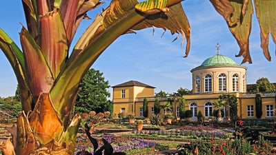 twerenbold_38059.jpg Palmenhaus im botanischen Garten mit Kuppeldach, blühende Gärten im Vordergrund.