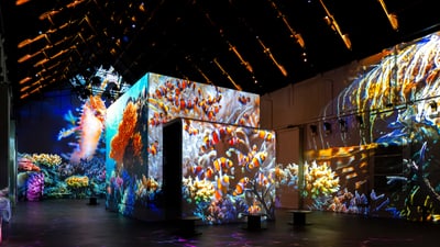 twerenbold_102130.jpg Lichtershow mit Unterwasser-Projektionen im dunklen Raum.