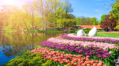 keukenhof.jpg Blumenbeet am Teich in sonniger Frühlingslandschaft.