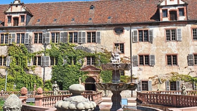 twerenbold_68001.jpg Altes Gebäude mit Weinreben und Brunnen im Hof.