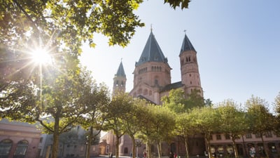twerenbold_99489.jpg Grosse historische Kirche hinter Bäumen mit Sonnenstrahlen am blauen Himmel.