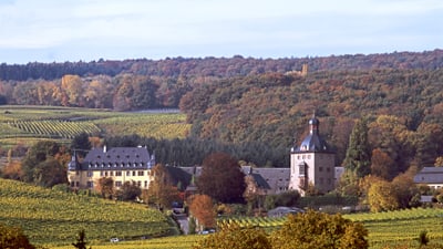 Schloss inmitten von Weinbergen und Herbstlandschaft.
