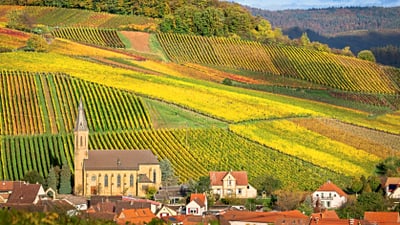 deutsche-weinstrasse-pfalz.jpg Herbstliche Weinberge und Dorf in hügeliger Landschaft.