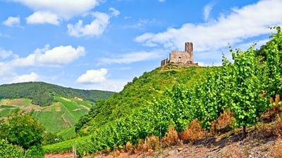 Burgruine auf einem Hügel mit umliegenden Weinbergen unter blauem Himmel.