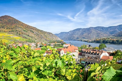 Panoramablick auf Weinberge, Fluss und Berge.