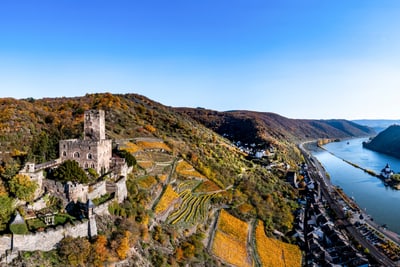 Luftaufnahme einer Burg mit Weinbergen und Fluss.