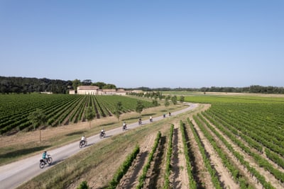 Radfahrer auf Schotterweg durch Weinberge.