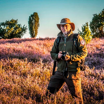 nordsommer-havelland-heide-hanse-2.jpg Person mit Hut und Kamera auf einem Feld mit blühenden Pflanzen.