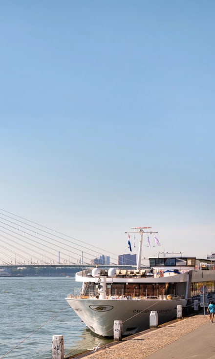 Ein Passagierschiff liegt am Ufer vor der Erasmusbrücke in Rotterdam mit ihrem markanten weissen Pylon.