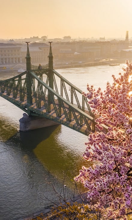 Frühlingsblüte mit Blick auf eine Brücke über einen Fluss.