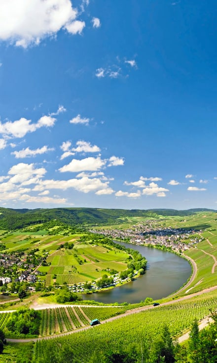Panoramablick auf die Moselschleife bei Kröv mit terrassierten Weinbergen, Ortschaft und Brücke.
