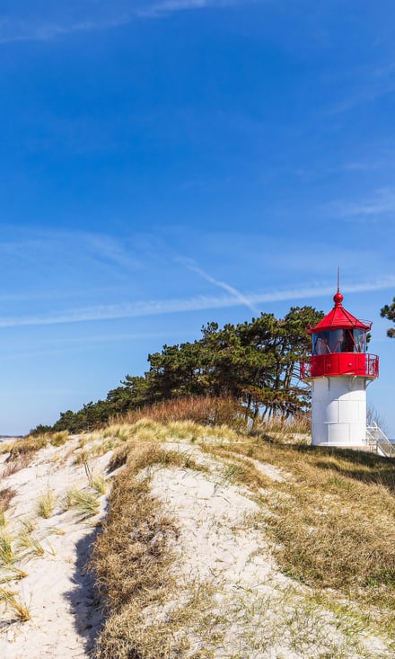 Leuchtturm auf einer sandigen Düne mit Bäumen am Meer.