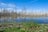 Tote Bäume und Teich unter blauem Himmel.