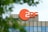Gebäude mit ZDF-Logo und Bäumen im Vordergrund.