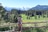 Alpenlandschaft mit Wiese und Bergen im Hintergrund.