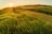 Landschaft mit grünen Feldern und Sonnenaufgang im Hintergrund.