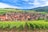 Panorama einer französischen Weinstadt mit Weinbergen und Hügeln im Hintergrund.
