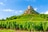 Weinberge vor Felsenlandschaft unter blauem Himmel.