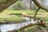 Bach in einer Wiesenlandschaft mit Bäumen im Hintergrund.