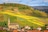 Herbstliche Weinberge und Dorf in hügeliger Landschaft.