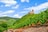 Burgruine auf einem Hügel mit umliegenden Weinbergen unter blauem Himmel.
