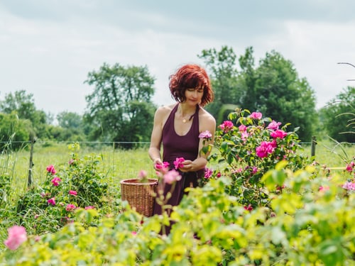 Frau pflückt Blumen im Garten.