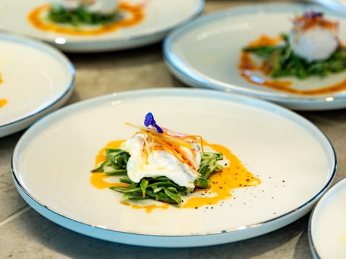 Gourmetgericht auf weissem Teller mit grünen Blättern und Sosse.
