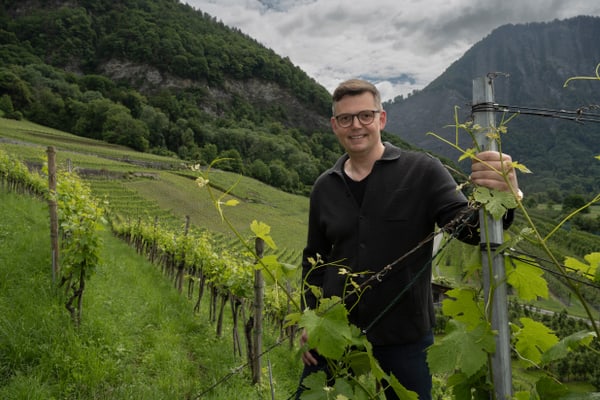 wine-und-dine-auf-dem-rhein-1.jpg Person in einem Weinberg vor Berglandschaft.
