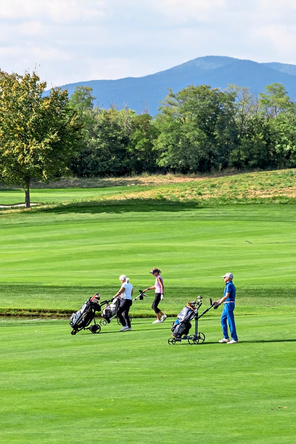 Vier Personen spielen Golf auf einem grünen Platz.