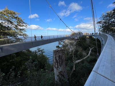 Hängebrücke über Küstenlandschaft mit Meerblick.
