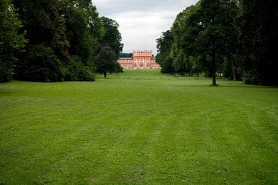Weitläufige Wiese mit Bäumen und einem Gebäude im Hintergrund.