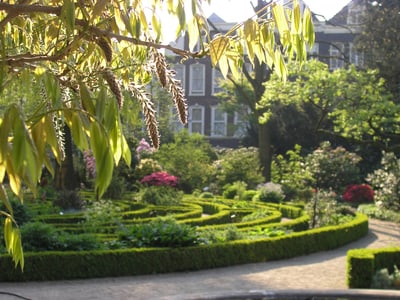 Sonniger Gartengarten mit grüner Bepflanzung und geschwungenen Hecken.