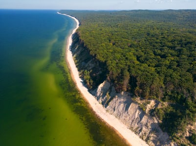 Luftaufnahme von Küste mit Strand und Wald.