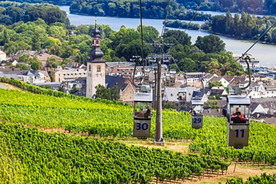 Seilbahn über Weinberge mit Stadt im Hintergrund.