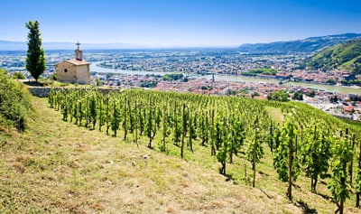Weinberge mit Kapelle und Blick auf das Tal.