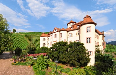 Historisches Gebäude neben Weinberg unter blauem Himmel.
