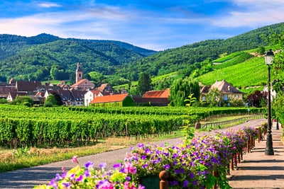 Dorf und Weinberge in malerischer Hügellandschaft.