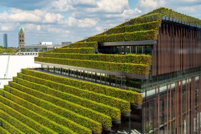 Gebäude mit terrassenförmigen grünen Pflanzen auf dem Dach in einer Stadt.