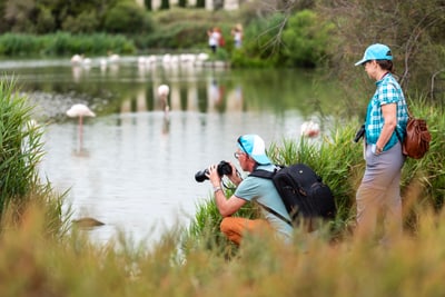 Mann und Frau beobachten Flamingos an einem Teich.
