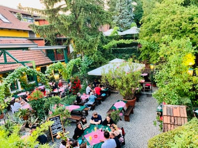 Menschen sitzen an Tischen in einem grünen, bewachsenen Biergarten.