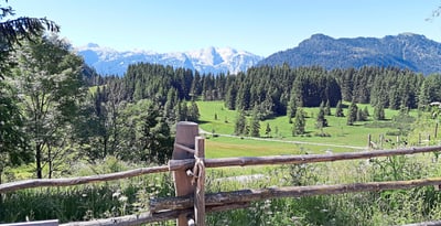 Alpenlandschaft mit Wiese und Bergen im Hintergrund.