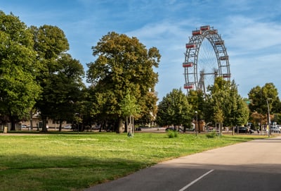 Grosse Wiese mit Bäumen und einem Riesenrad im Hintergrund.