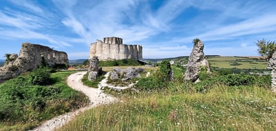 Mittelalterliche Burgruine auf einem Hügel mit blauem Himmel.