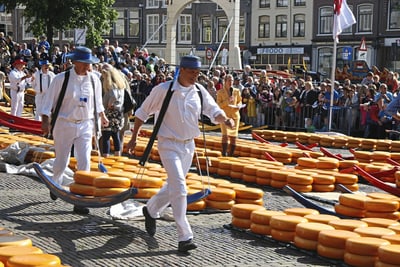 Träger transportieren Käselaibe auf dem Markt.