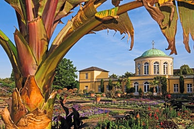 Palmenhaus im botanischen Garten mit Kuppeldach, blühende Gärten im Vordergrund.