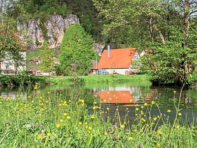 Teich mit blühenden Wiesenblumen und Häusern im Hintergrund.