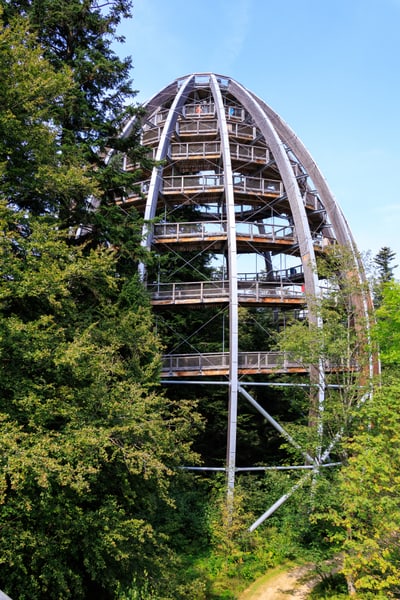 Hohe Holzkonstruktion im Wald mit spiralförmigem Weg.