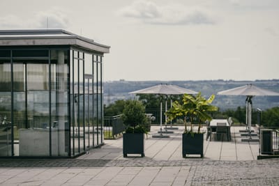 Dachterrasse mit Glasgebäude, Pflanzen in Töpfen und Sonnenschirmen.
